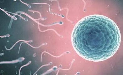 验孕棒多少天才能验出怀孕？正常情况两周左右