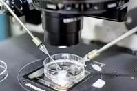 试管移植后子宫痉挛怎么办？会着床吗？