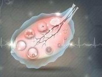 梅毒抗体为阴性,那么代表未被感染,但备孕还需注意3点