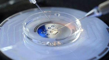 重庆优秀的试管婴儿医生有哪些？附重庆十大好评试管医生一览！